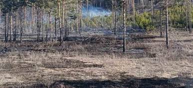О лесопожарной обстановке в Бурятии